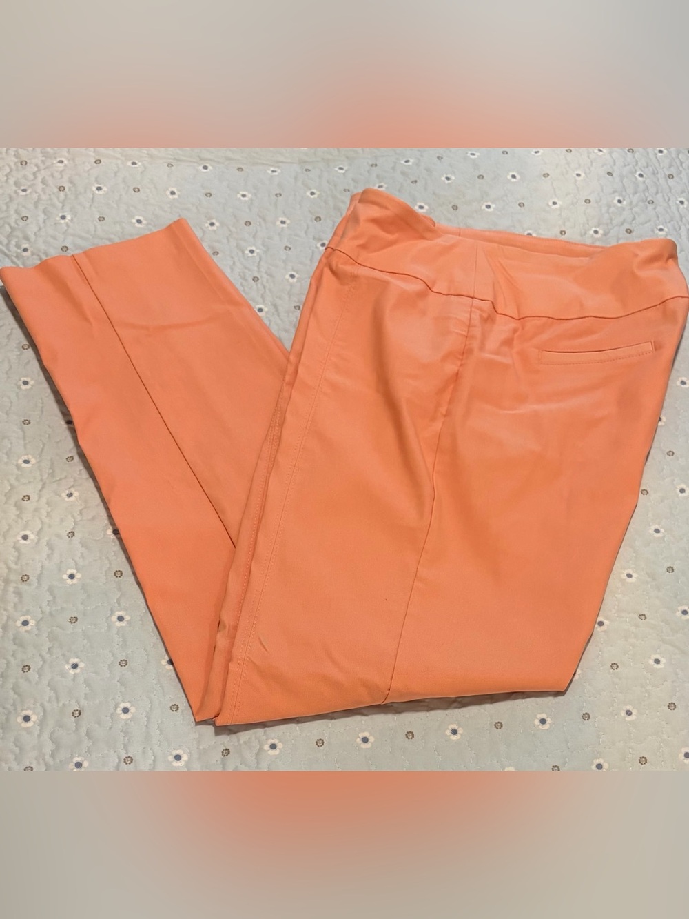 ND New Directions Peach Stretchy Fitted Pants Size 12
